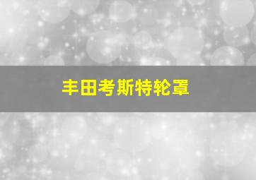 丰田考斯特轮罩