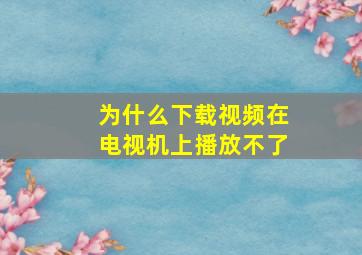 为什么下载视频在电视机上播放不了