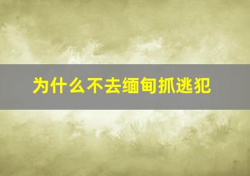 为什么不去缅甸抓逃犯