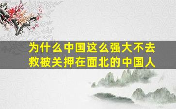 为什么中国这么强大不去救被关押在面北的中国人