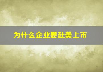 为什么企业要赴美上市