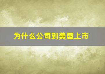 为什么公司到美国上市