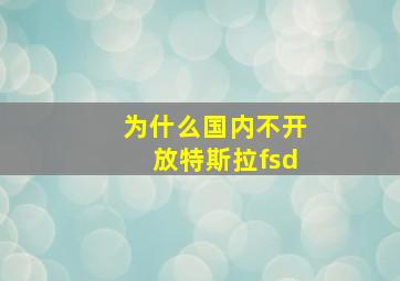 为什么国内不开放特斯拉fsd