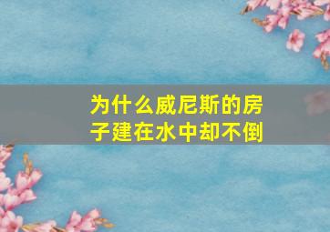 为什么威尼斯的房子建在水中却不倒