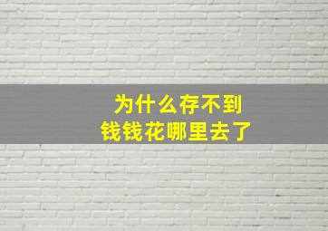 为什么存不到钱钱花哪里去了