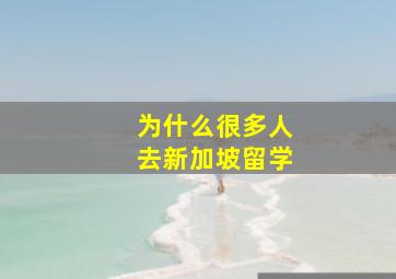 为什么很多人去新加坡留学