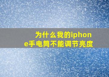 为什么我的iphone手电筒不能调节亮度