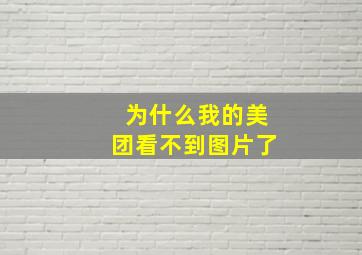 为什么我的美团看不到图片了