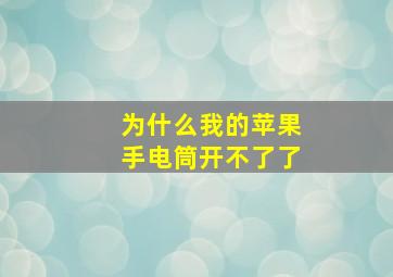 为什么我的苹果手电筒开不了了