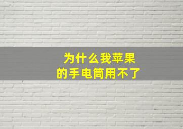 为什么我苹果的手电筒用不了