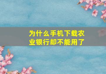 为什么手机下载农业银行却不能用了