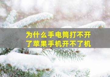 为什么手电筒打不开了苹果手机开不了机