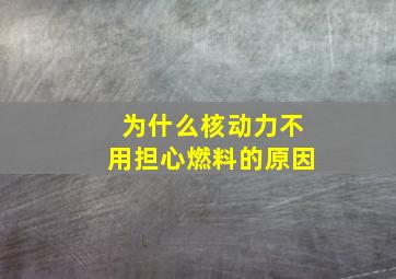 为什么核动力不用担心燃料的原因