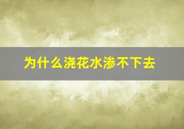 为什么浇花水渗不下去