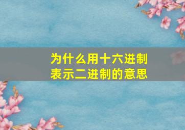 为什么用十六进制表示二进制的意思