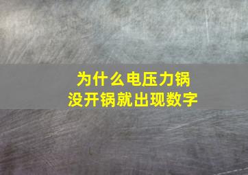 为什么电压力锅没开锅就出现数字