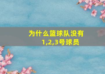 为什么篮球队没有1,2,3号球员