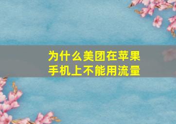 为什么美团在苹果手机上不能用流量