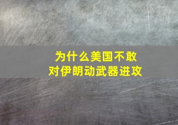 为什么美国不敢对伊朗动武器进攻