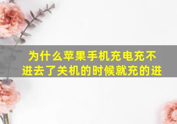 为什么苹果手机充电充不进去了关机的时候就充的进