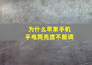 为什么苹果手机手电筒亮度不能调