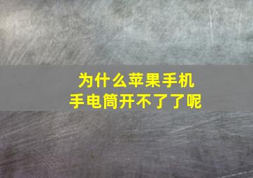 为什么苹果手机手电筒开不了了呢