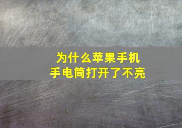 为什么苹果手机手电筒打开了不亮