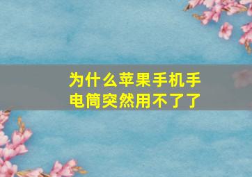 为什么苹果手机手电筒突然用不了了