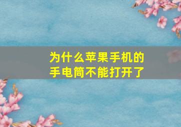 为什么苹果手机的手电筒不能打开了