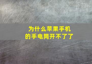 为什么苹果手机的手电筒开不了了