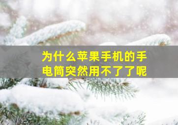 为什么苹果手机的手电筒突然用不了了呢