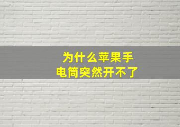 为什么苹果手电筒突然开不了