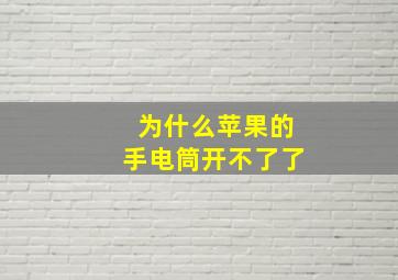 为什么苹果的手电筒开不了了