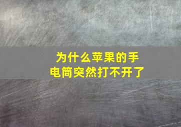 为什么苹果的手电筒突然打不开了