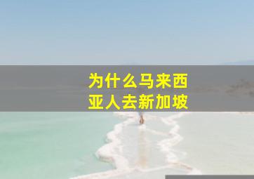 为什么马来西亚人去新加坡