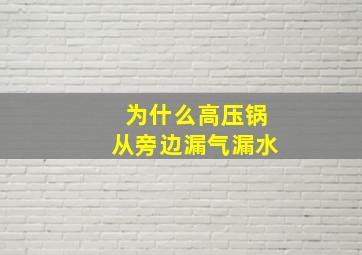 为什么高压锅从旁边漏气漏水