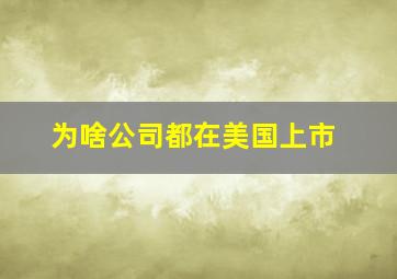 为啥公司都在美国上市