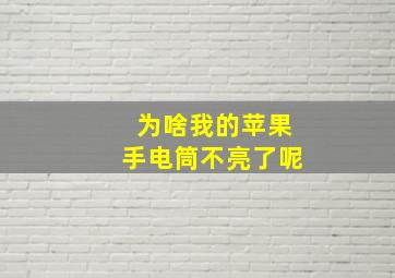 为啥我的苹果手电筒不亮了呢