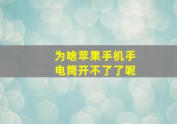 为啥苹果手机手电筒开不了了呢