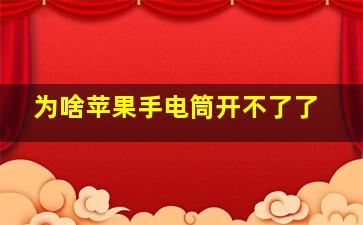 为啥苹果手电筒开不了了