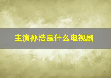 主演孙浩是什么电视剧