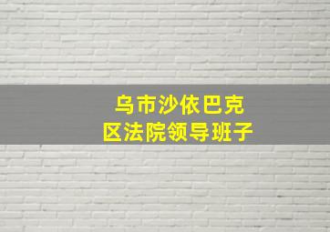 乌市沙依巴克区法院领导班子