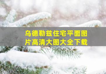 乌德勒兹住宅平面图片高清大图大全下载