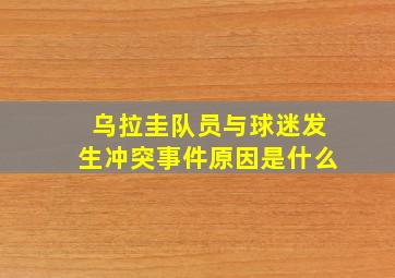 乌拉圭队员与球迷发生冲突事件原因是什么