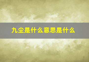 九尘是什么意思是什么