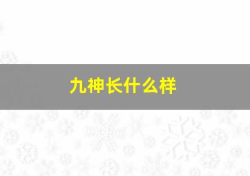 九神长什么样