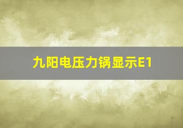 九阳电压力锅显示E1