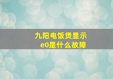 九阳电饭煲显示e0是什么故障