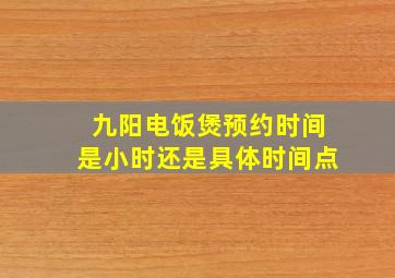 九阳电饭煲预约时间是小时还是具体时间点