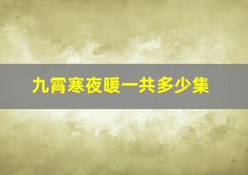 九霄寒夜暖一共多少集